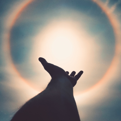 hand reaching up to eclipse Reach for your better life